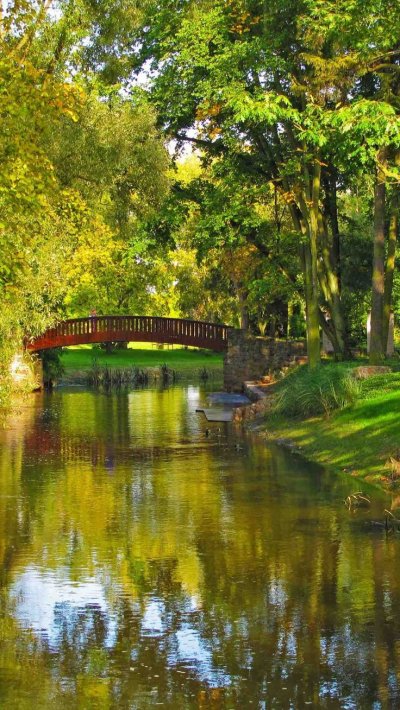 Парк с рекой