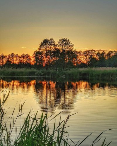 Белоруссия природа