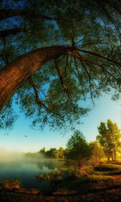 Красивая природа