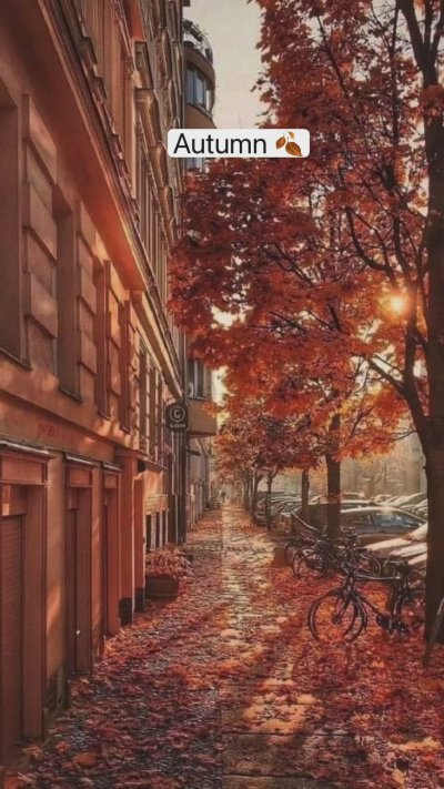 Осень в городе