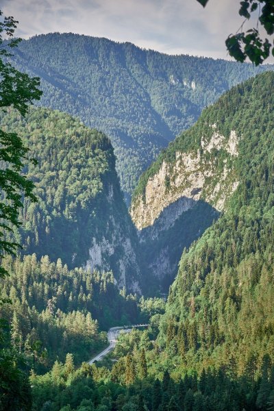 Рицинский парк Абхазия