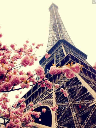 Эльфелевая башня Париж