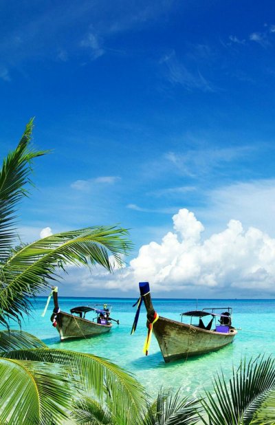 Пальма лодка море