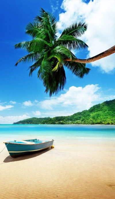 Тропическое море