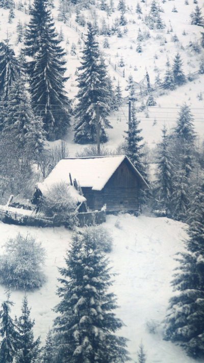 Домик в лесу