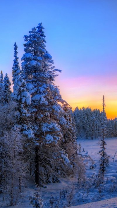 Зимний пейзаж