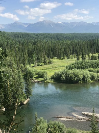 Природа Тайга Сибирь