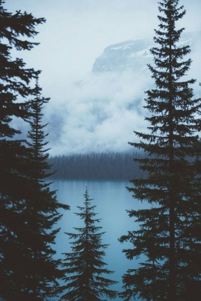 Телефон Тайга