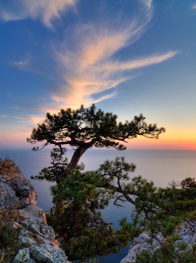 Мыс Айя скалы сосны