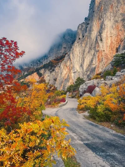 Севастопольское шоссе