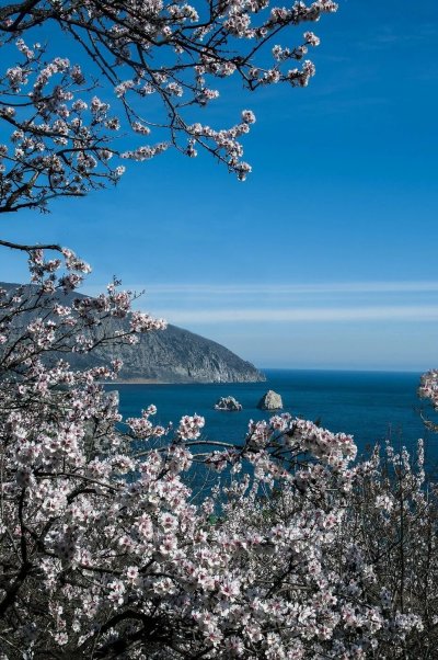 Гурзуф Весна