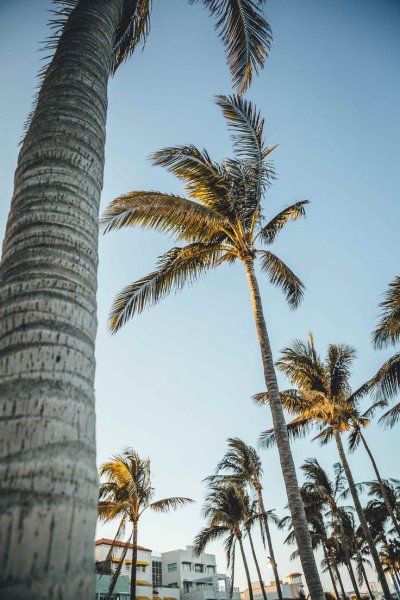 Майами Палм Бич