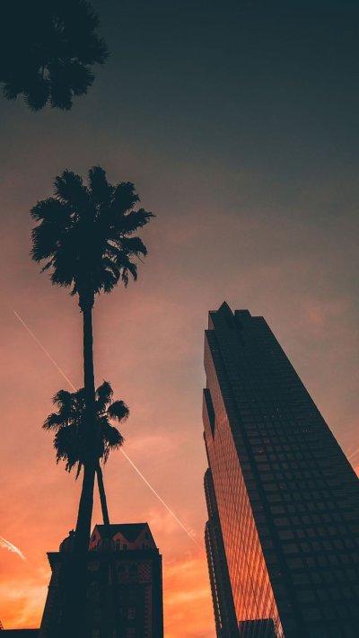 Летний Вайб Лос Анджелес