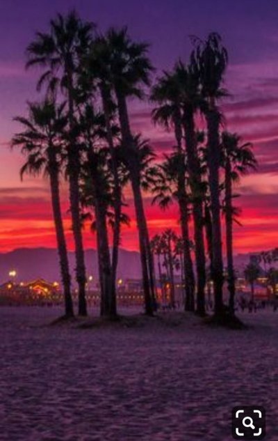 Санта Моника Лос Анджелес закат пальмы