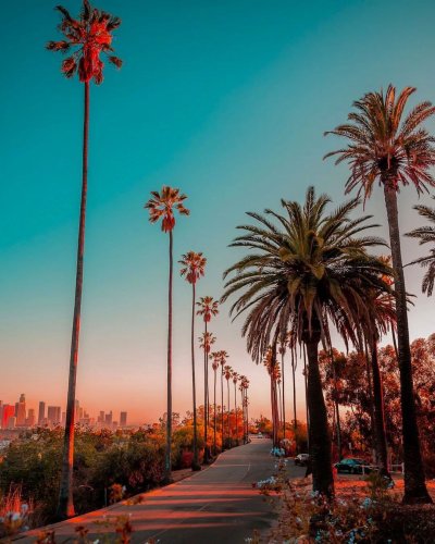 Месяц в Америке фото