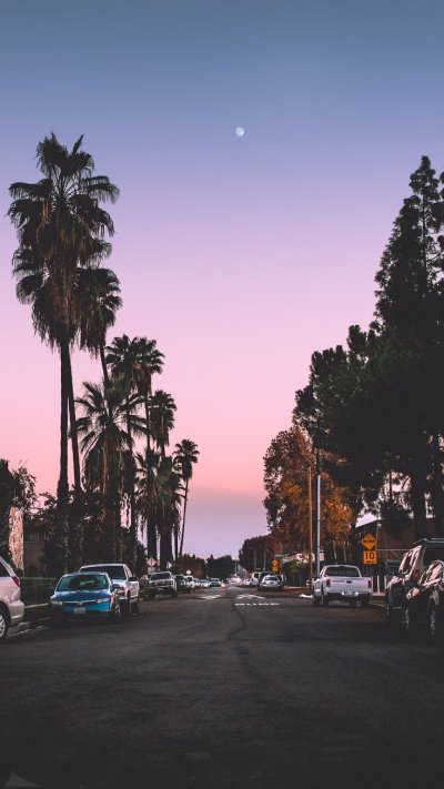 Лос Анджелес Эстетика