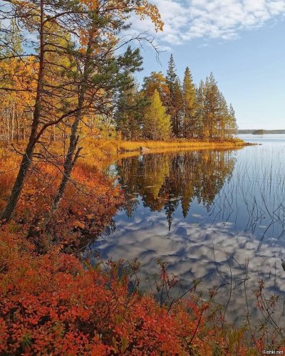 Карелия осень