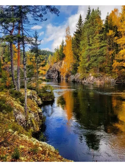 Северная природа Карелии