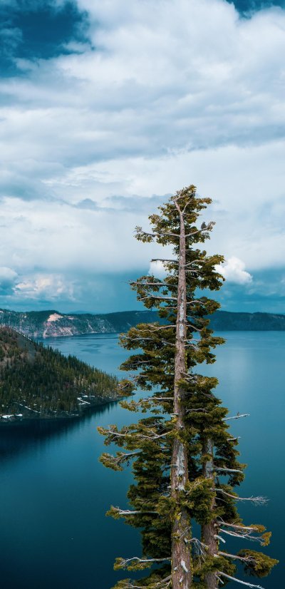 Природа Карелии вертикальные