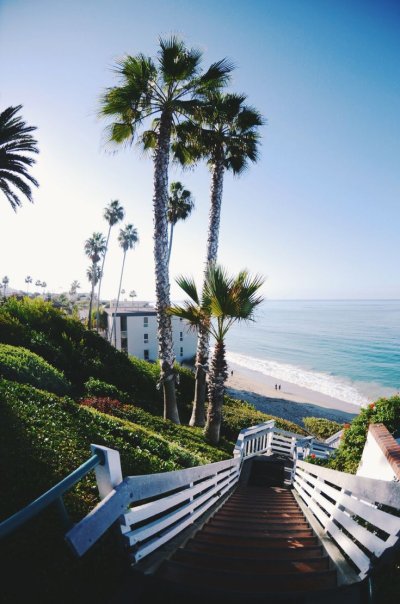 Сочи пальмы море