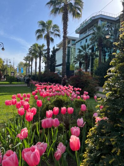 Навагинская Сочи