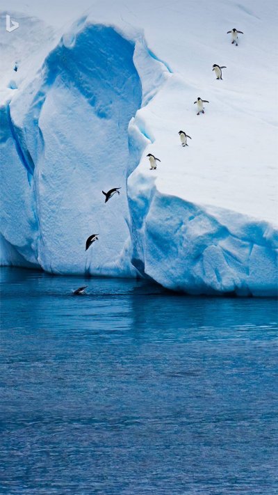 Антарктида фон