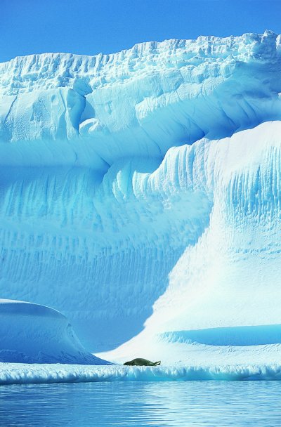 Антарктида