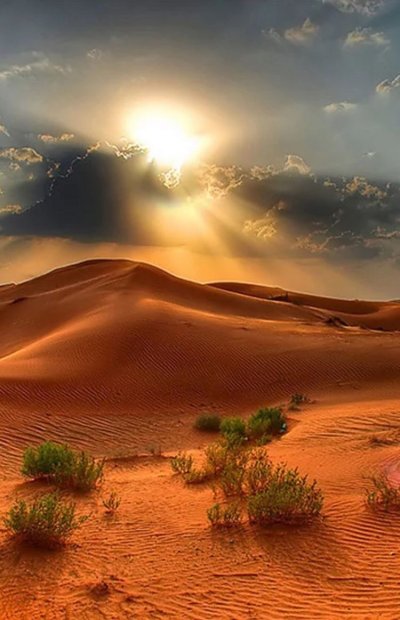 Пустыня Каракум Оазис