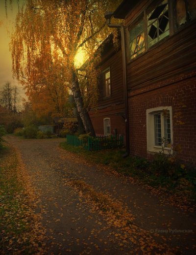 Елена Рубинская фотограф