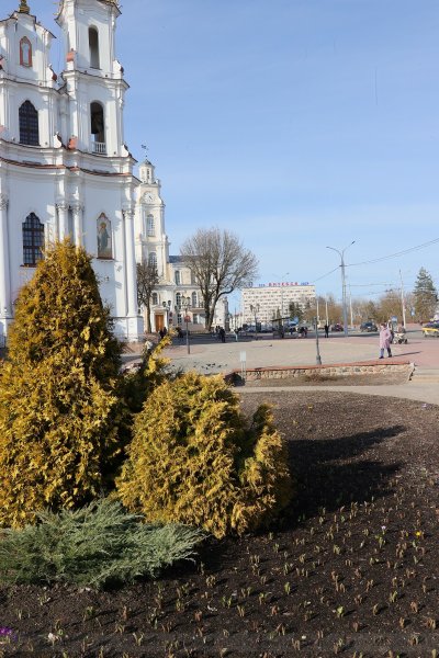 Витебск весной фото