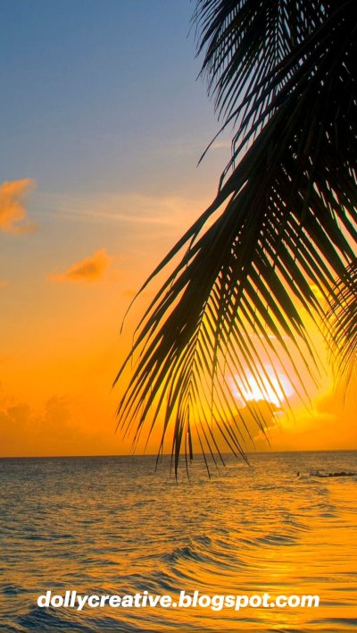 Море пальмы рассвет