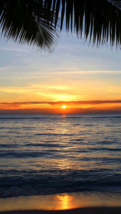 Пальмы на закате