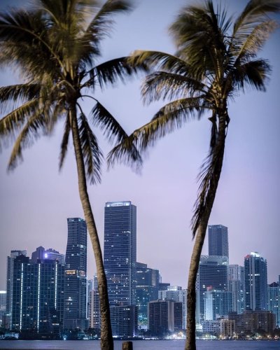 Майами (Флорида)