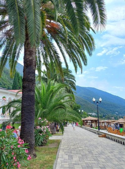 Континенталь Абхазия Гагра