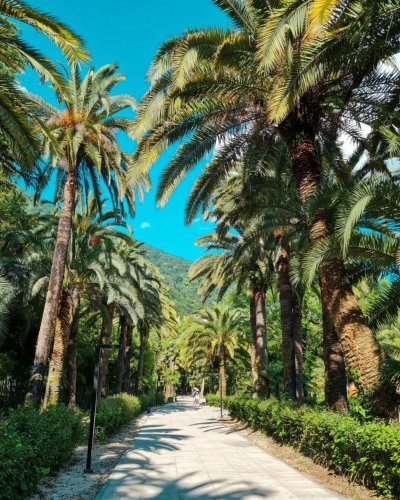 Автобусы в Абхазии