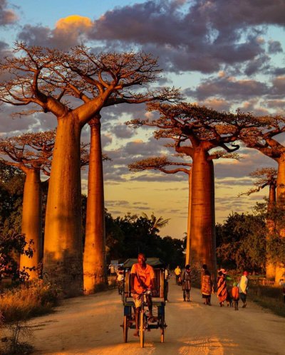 Африка красивая картинка фон 30*21