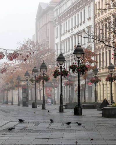 Белград Эстетика