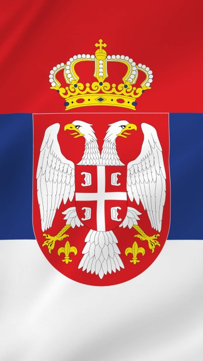 Флаг Сербии 19 века