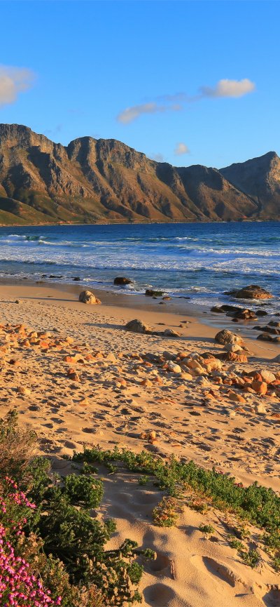 Южная Африка природа