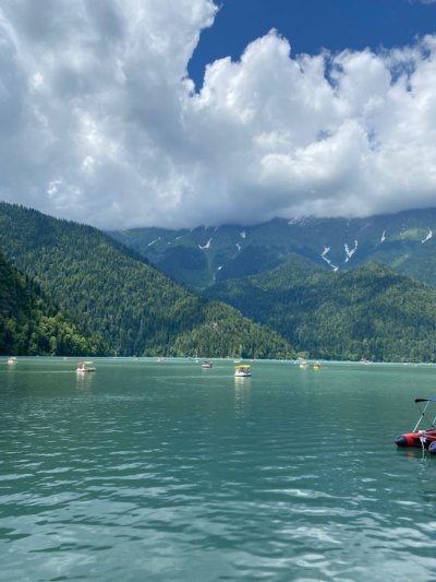 Абхазия цветение