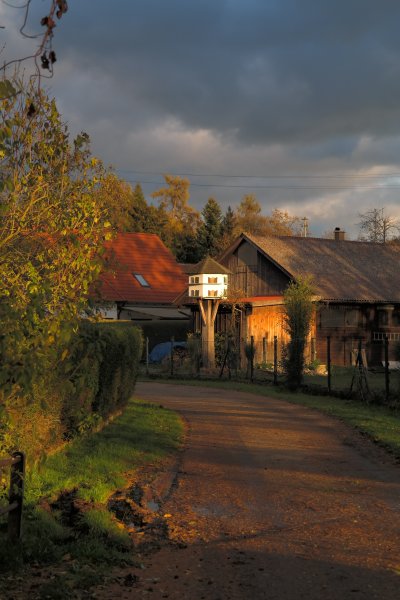 Осень в деревне