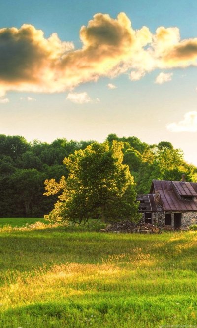 Деревенский домик