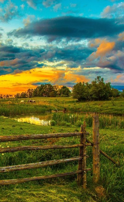 Деревенский пейзаж