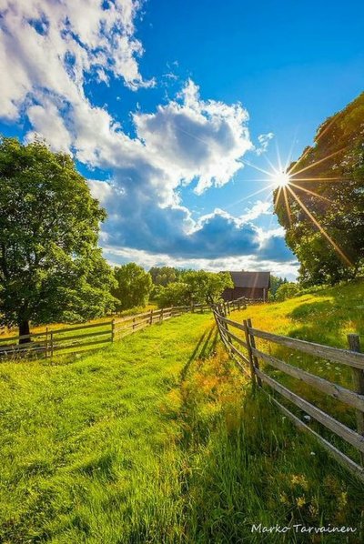 Природа деревня