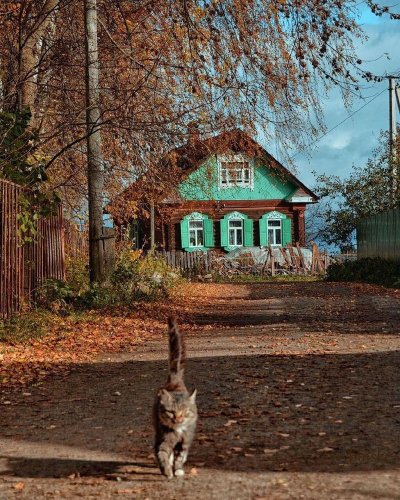 Деревня деревеньки Ярославской области