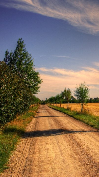 Поле с дорогой