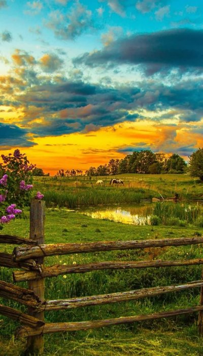 Деревенский пейзаж