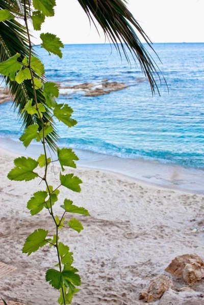 Тасос пляжи