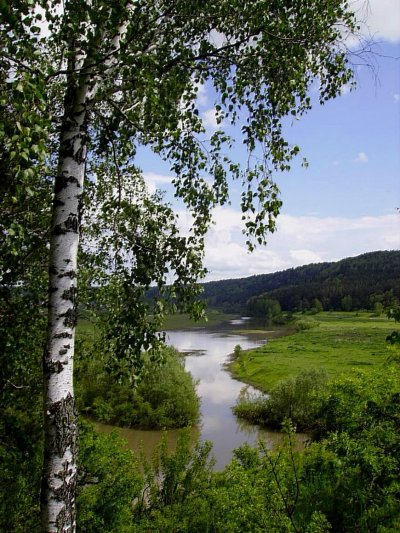 Россия просторы Березки реки