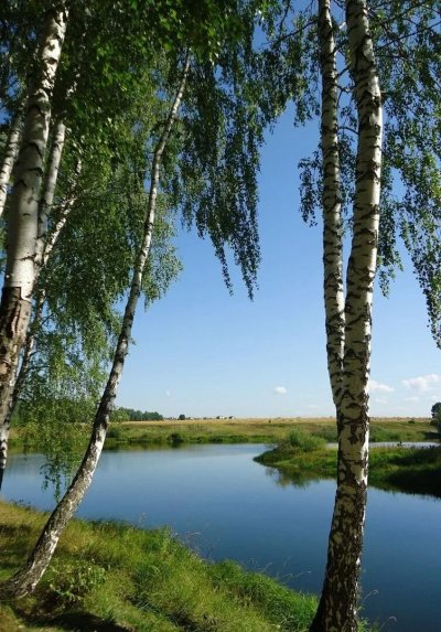 Русская природа